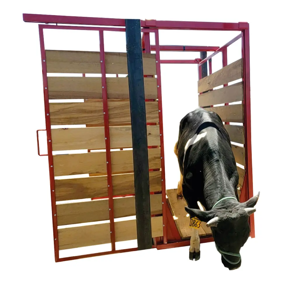 Balanza Pesa Ganado T-Scale GAN Inox de 500 kilos